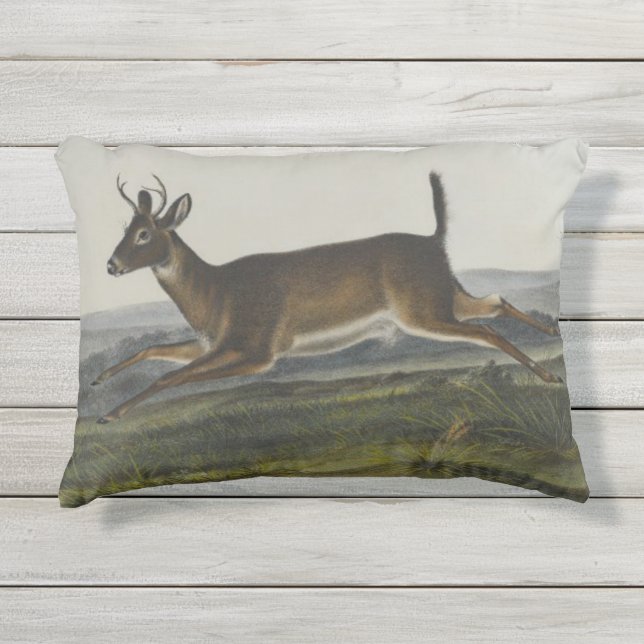 Lange angebundene Rotwild durch John James Audubon Kissen Für Draußen (Vorderseite)