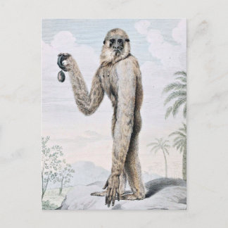 Lange Arte Gibbon Ape Art Postkarte