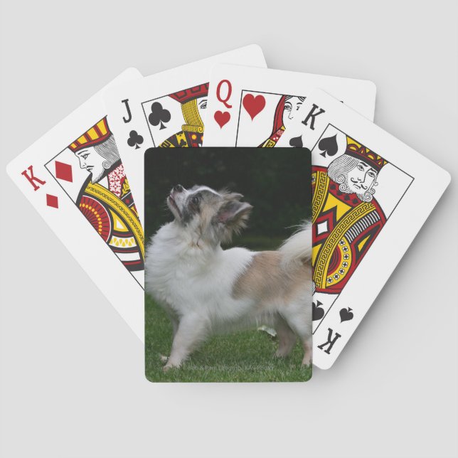 Lange Haahaaaaaaa Blick auf Kamera Spielkarten (Rückseite)