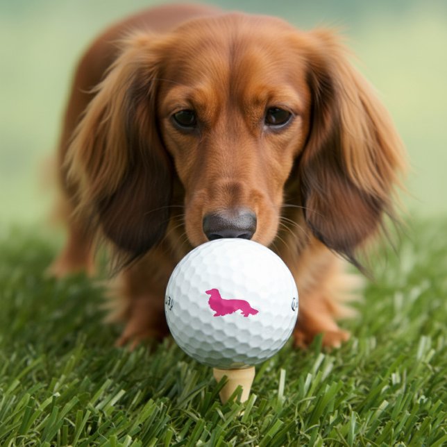 Lange Haare Dackel Rosa Golfer Geschenk Golfball (pink long hair dachshund golf balls)