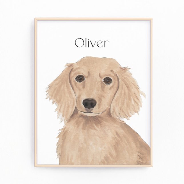 Lange Haare Englische Rote Dackel Kunst Fotodruck (Von Creator hochgeladen)