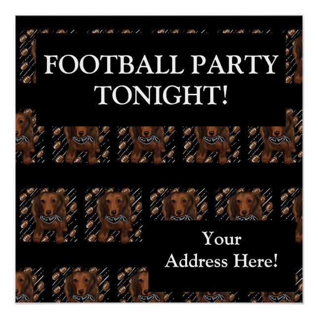 LANGE HAIRED RED DACKEL POSTER (Vorderseite)