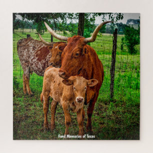 Lange Horn Rind Texas. Jigsaw Puzzle