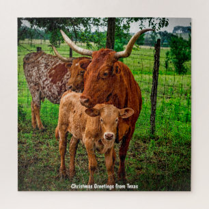 Lange Horn Rind Texas. Jigsaw Puzzle