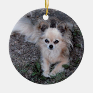 Lange Mantel-Chihuahua Keramikornament