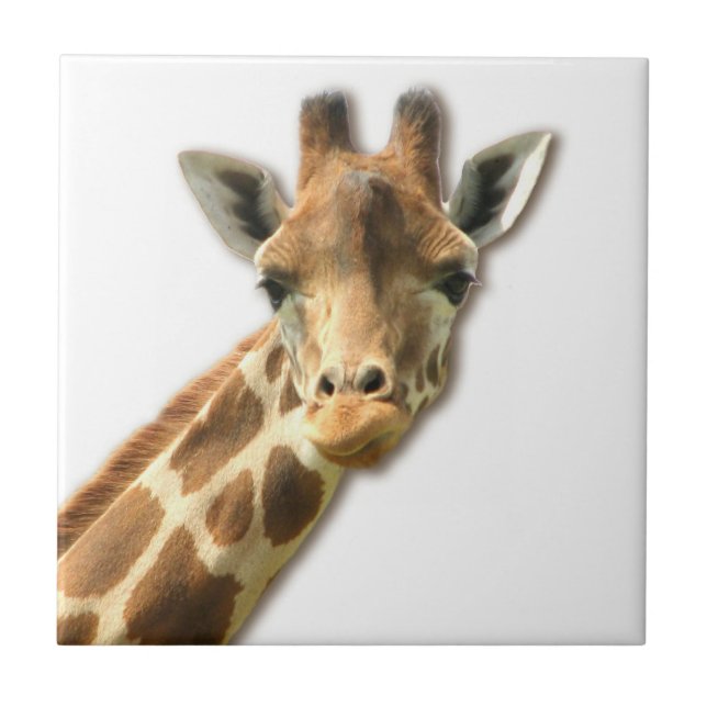 Lange Necked Giraffen-Fliese Fliese (Vorderseite)