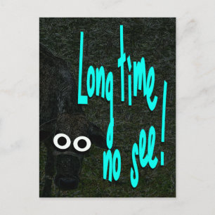 Lange nicht gesehen. Kuh. Tierart Postkarte