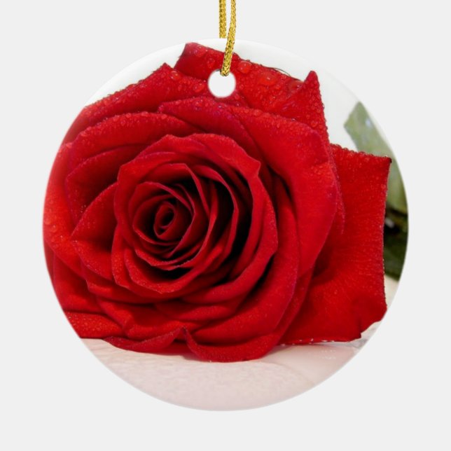 Lange Stamm-Rosen-Verzierung Keramikornament (Vorne)