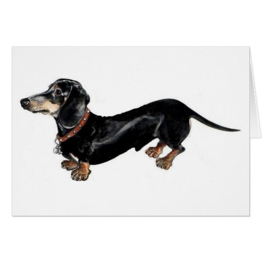 "langer Hunde" Dackel-Grußkarte Karte