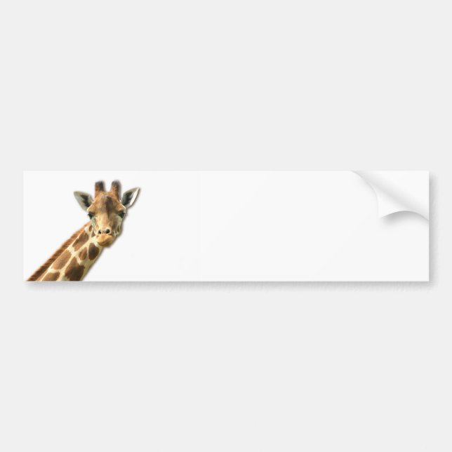 Langer Necked Giraffen-Autoaufkleber Autoaufkleber (Vorne)