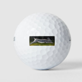 Langes graues Kaninchen springt über Felder Golfball