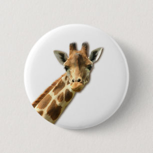 Langes Necked Giraffen-Button Button