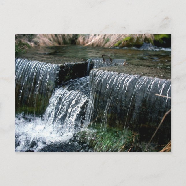 LANGFRISTIG POSTKARTE (Vorderseite)