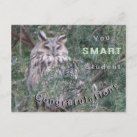 Langfristige Eule Herzlichen Glückwunsch Postkarte