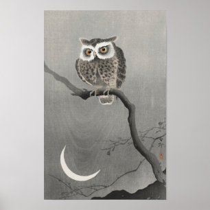 Langgezogenes Ewl auf der Zweigstelle des Baumes ( Poster