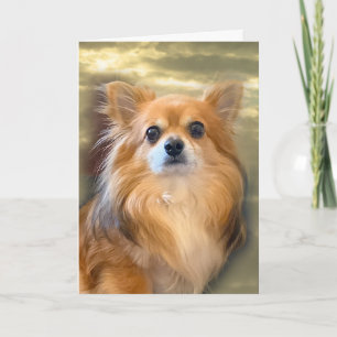 Langhaar Chihuahua Karte
