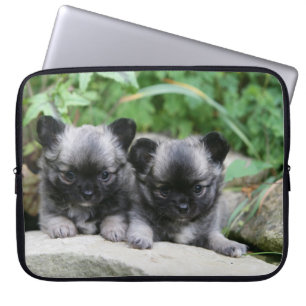 Langhaarige Chihuahua-Welpen Laptopschutzhülle