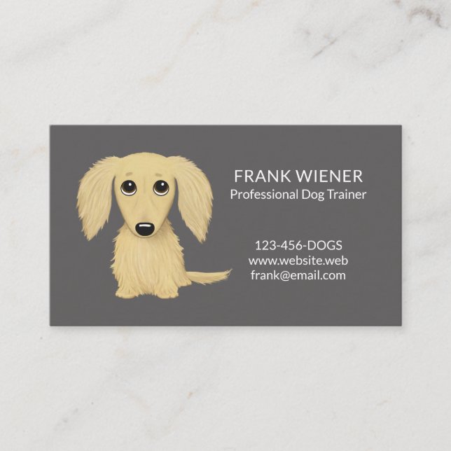 Langhaarige Creme Blonde Dackel | Dackel Hund Visitenkarte (Vorderseite)