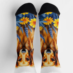 Langhaarige Dackel in den Blume Socken