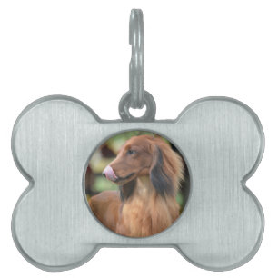 Langhaarige Dackel Tiermarke