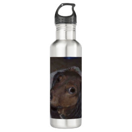 Langhaarige Dackel Wasserflasche Edelstahlflasche