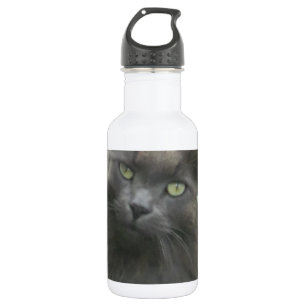 Langhaarige graue Russische blaue Katze Trinkflasche