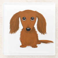 Langhaarige Rote Dackel Niedlich Weiner Dog