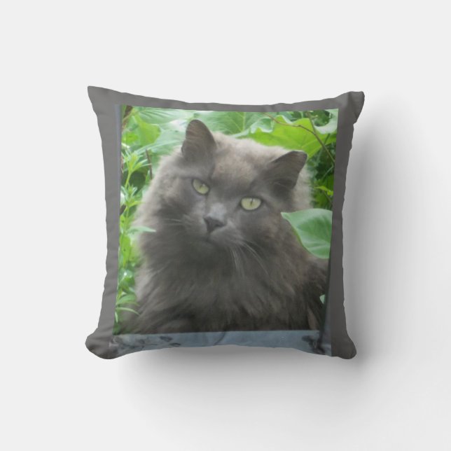 Langhaarige Russische Blaue Katze Kissen (Vorderseite)