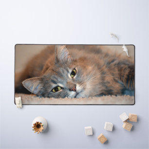 Langhaarige Russische Blaue Katze von Shirley Tayl Schreibtischunterlage
