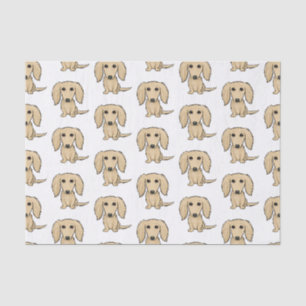 Langhaarige Sahneniedliche Hunde des Seidenpapier