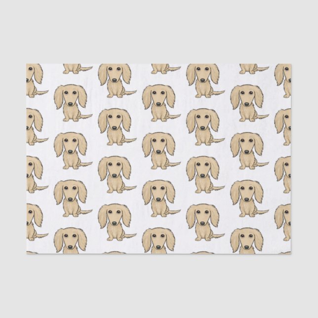 Langhaarige Sahneniedliche Hunde des Seidenpapier (Vorderseite)