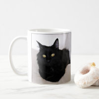 Langhaarige Schwarze Katze Entspannen auf dem Sofa