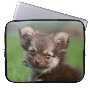 Langhaariger Chihuahua-Welpe, der Kamera Laptopschutzhülle