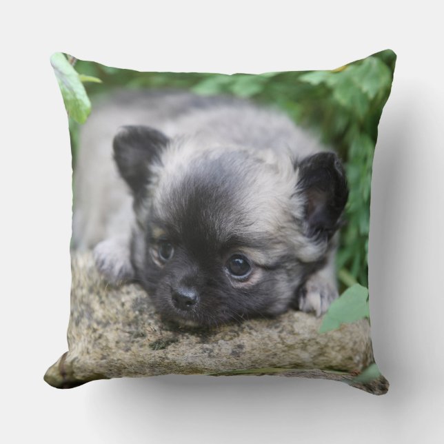 Langhaariger Chihuahua-Welpe Kissen (Vorderseite)