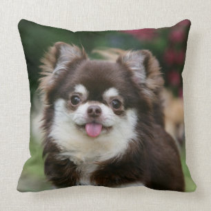 Langhaariger ChihuahuaHeadshot 1 Kissen