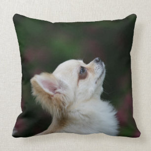 Langhaariger ChihuahuaHeadshot 2 Kissen