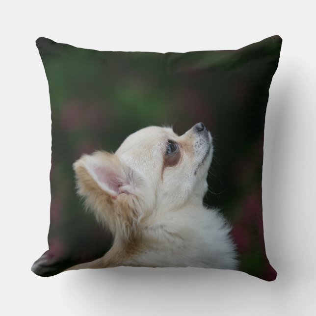 Langhaariger ChihuahuaHeadshot 2 Kissen (Vorderseite)