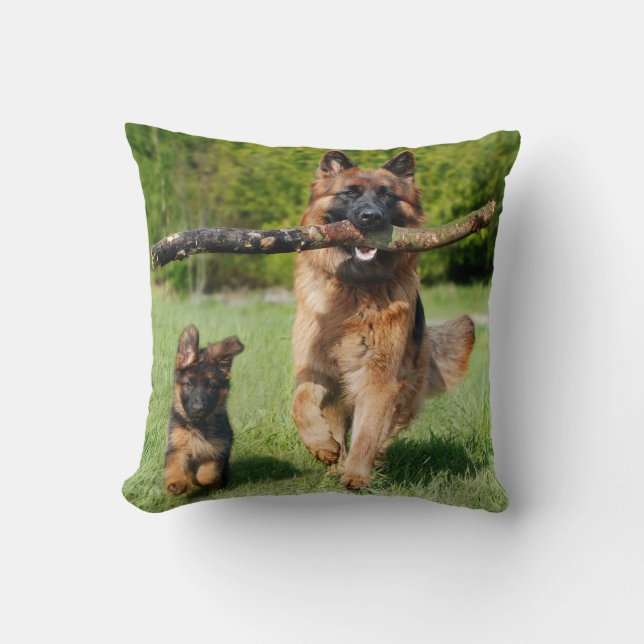 Langhaariger Flusshirtenhund Kissen (Vorderseite)