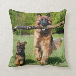 Langhaariger Flusshirtenhund Kissen