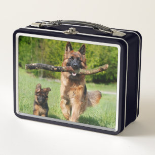 Langhaariger Flusshirtenhund Metall Brotdose