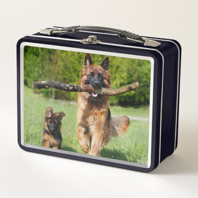 Langhaariger Flusshirtenhund Metall Brotdose (Vorderseite)