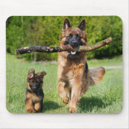 Langhaariger Flusshirtenhund Mousepad