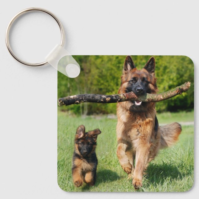 Langhaariger Flusshirtenhund Schlüsselanhänger (Vorderseite)