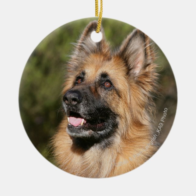 Langhaariger Schäferhund 1 Keramikornament (Vorne)