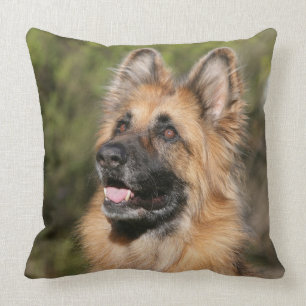 Langhaariger Schäferhund 1 Kissen