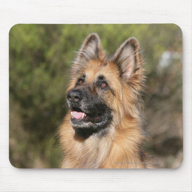 Langhaariger Schäferhund 1 Mousepad (Vorne)