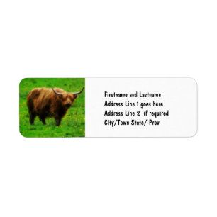 Langhaariges Longhorn mit langen Hörnern