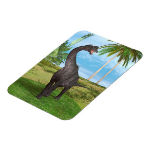 Langhalsdinosaurier-Dschungel-Abenteuer Magnet