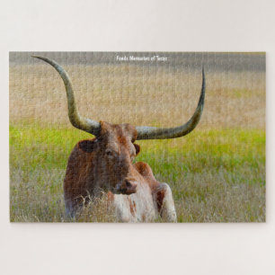 Langhornrinder Texas. Puzzle