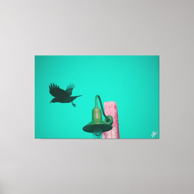 Langley Crow auf der Light Post Series #11 Leinwanddruck (Vorderseite)